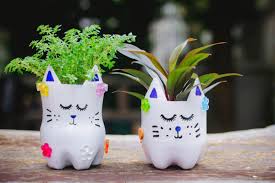 Eco-Friendly Recycling of Empty Pots